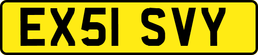 EX51SVY