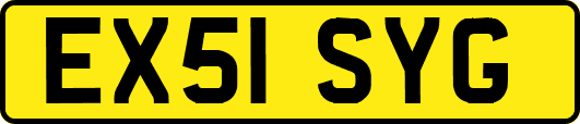 EX51SYG