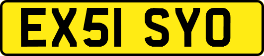 EX51SYO