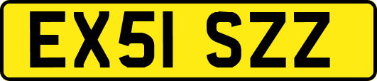 EX51SZZ