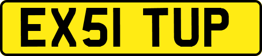 EX51TUP