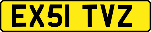 EX51TVZ