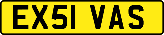 EX51VAS