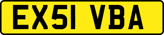 EX51VBA