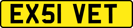 EX51VET