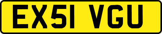 EX51VGU