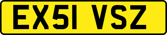 EX51VSZ