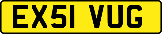 EX51VUG