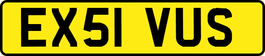 EX51VUS