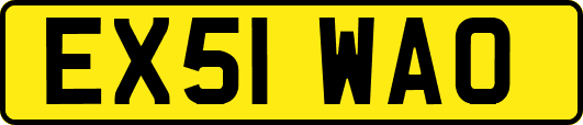 EX51WAO