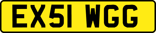 EX51WGG