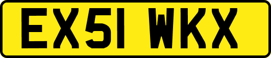 EX51WKX