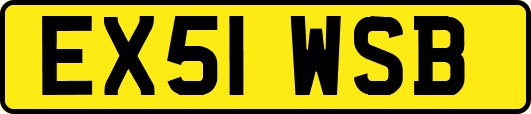 EX51WSB