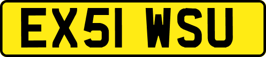 EX51WSU
