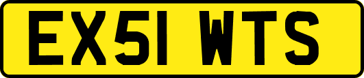 EX51WTS