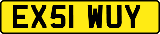 EX51WUY