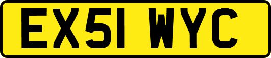 EX51WYC