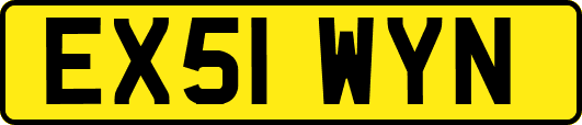 EX51WYN