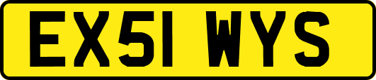 EX51WYS