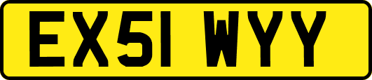 EX51WYY