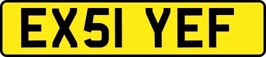 EX51YEF