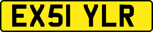 EX51YLR