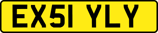 EX51YLY