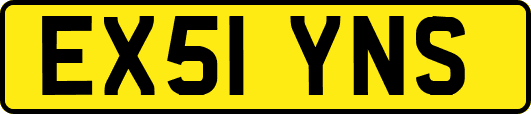 EX51YNS