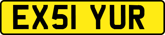 EX51YUR