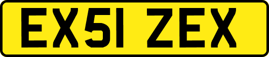 EX51ZEX