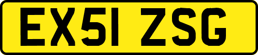 EX51ZSG