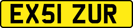 EX51ZUR