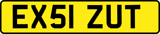 EX51ZUT