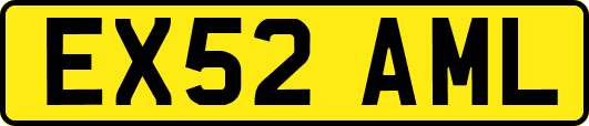 EX52AML