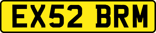 EX52BRM