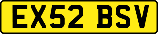 EX52BSV