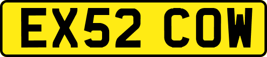 EX52COW
