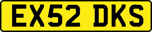 EX52DKS