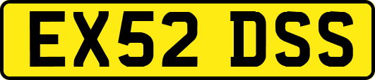 EX52DSS