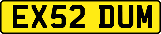 EX52DUM