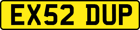EX52DUP