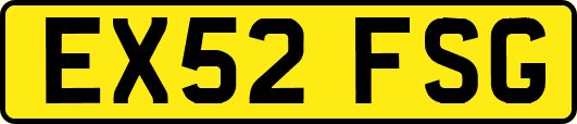 EX52FSG