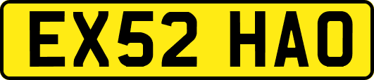 EX52HAO