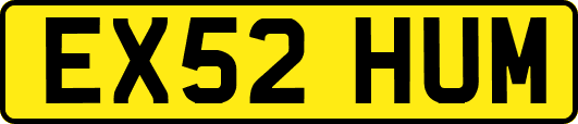 EX52HUM