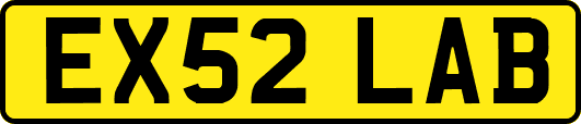 EX52LAB