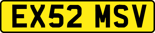 EX52MSV
