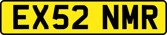EX52NMR