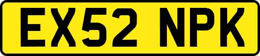 EX52NPK