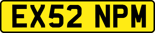 EX52NPM