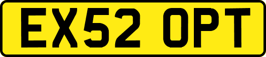 EX52OPT